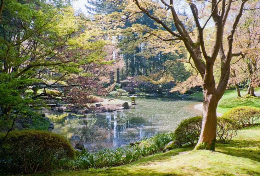 Nitobe Memorial Garden, Canada